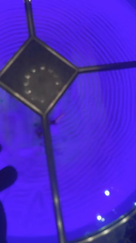 おはようございます🙇‍♂️/るあ