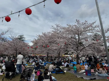 なな奥様メモリアル