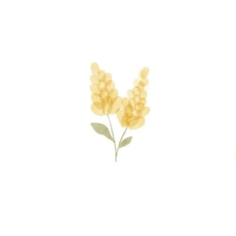 花音(かのん)グランドオペラ福岡