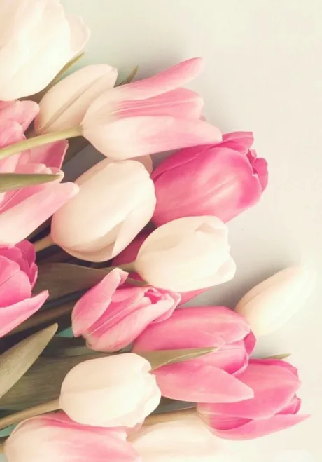 退勤しました🙇‍♀☺️/さな【弘前黒石大釈迦】