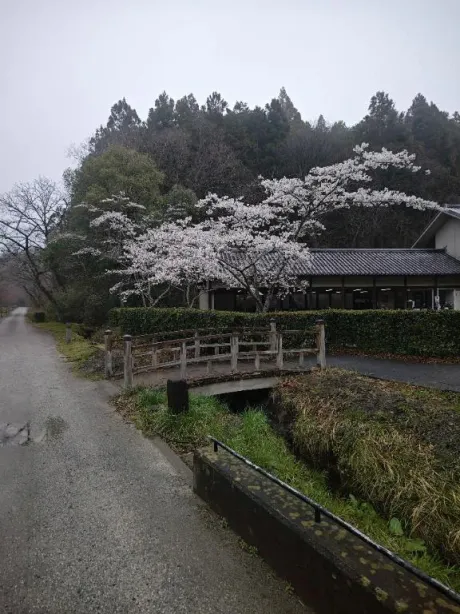 ルイ奥様生レンタル-古川店-