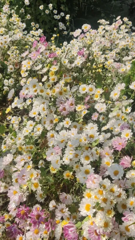 たのしいこと💕