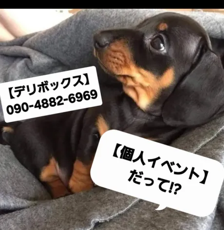 めい (魅惑のEカップ、パイパン嬢)デリボックス