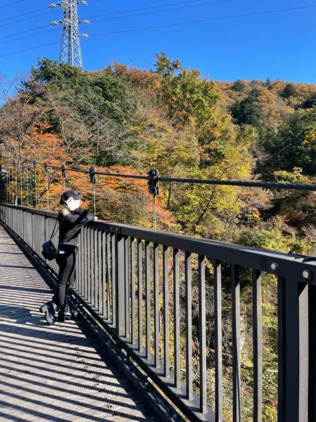 豆腐とキムチと赤ワイン/新人ゆら☆女優クラス美ルックス