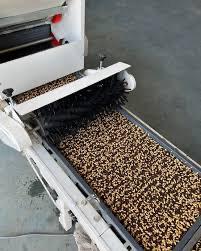 新人あず奥様メモリアル