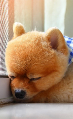休暇まで。