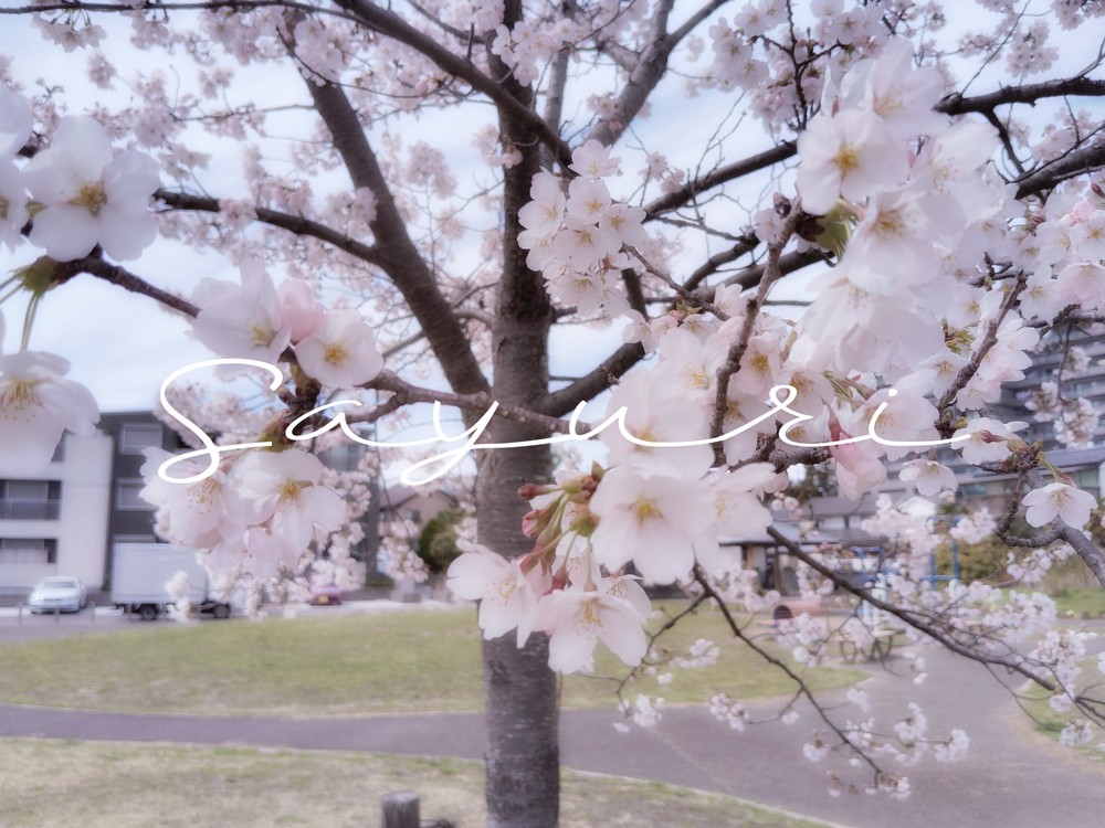 2026 年は ⋯✏️/さゆり