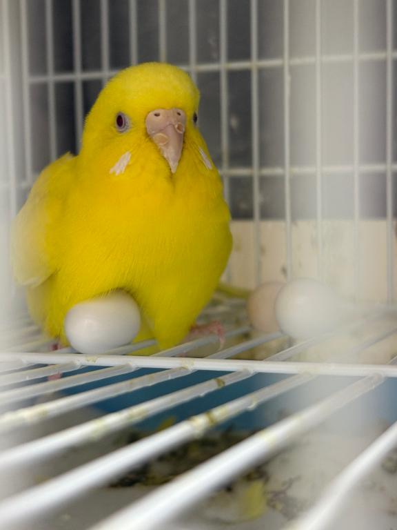 おはよん☀️✨