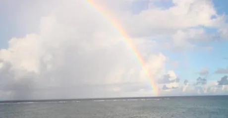 こんにちは/みれい