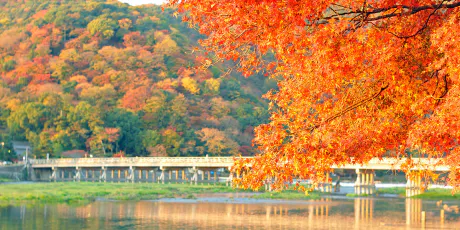 【盛岡】トモカEROTIC NUDE（ヌード 盛岡)