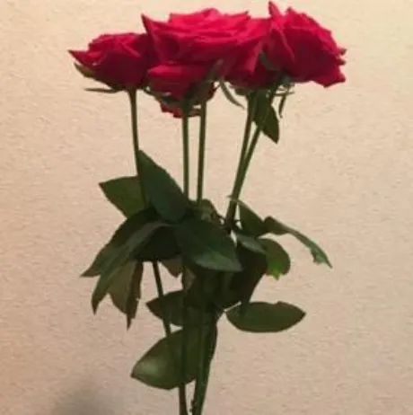 6時まで♡/藤田ますみ
