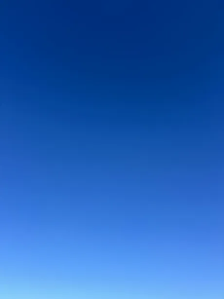 まだ/くるみ 奥様