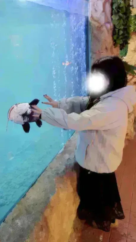 サラMadonna-マドンナ-