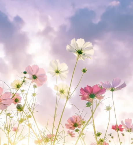 本日出勤！/小倉　百合