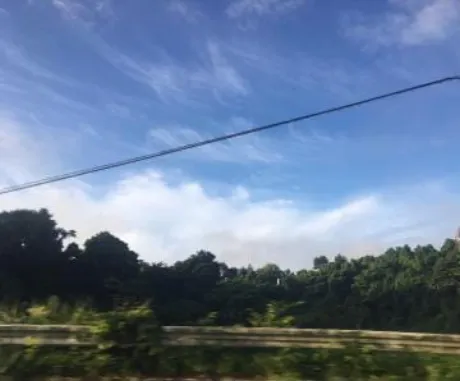 待機に入りました/藤田ますみ