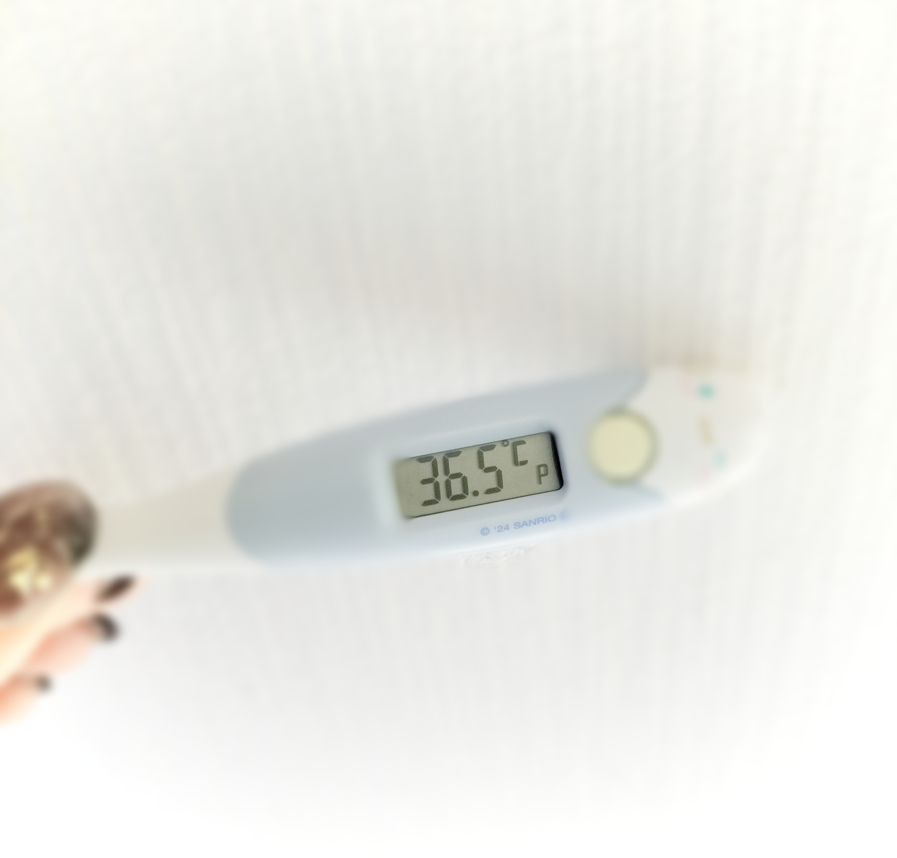 🍎🍎🍎/さな【弘前黒石大釈迦】