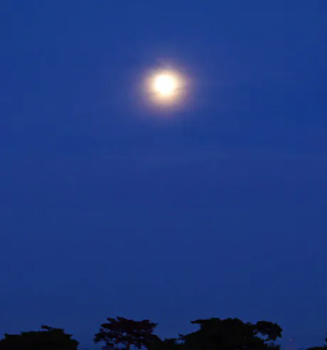 なみ 奥様仙台人妻セレブリティー