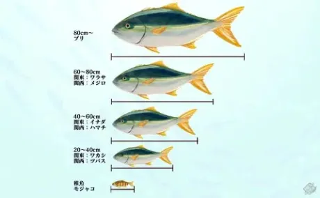 シオリ弘前黒石ちゃんこ