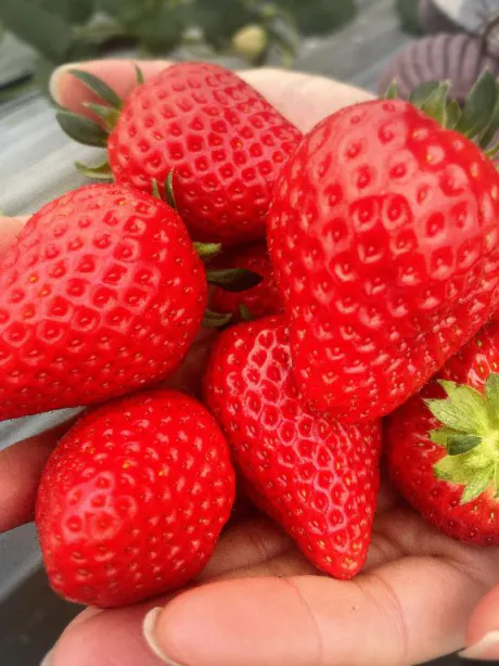 この後❤️/新人　れの