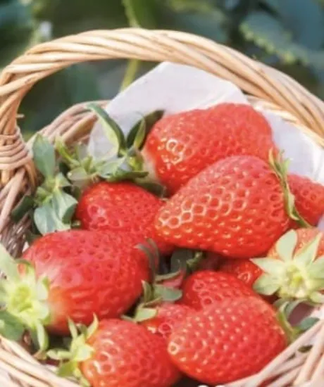 【人妻コース】ちさとMy Lover 三沢