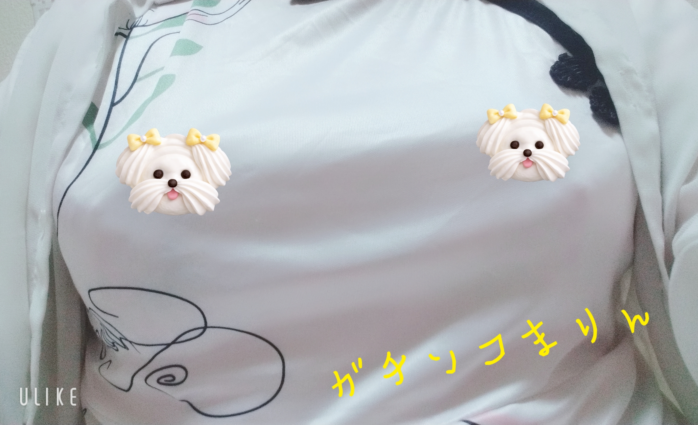 出勤ちゅー/業界初まりん(弘前)