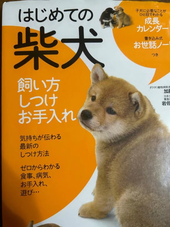 柴犬🌱🐾