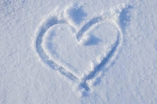 おはよう٩(｡•ω•｡)﻿و﻿