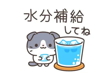 こんにちは!