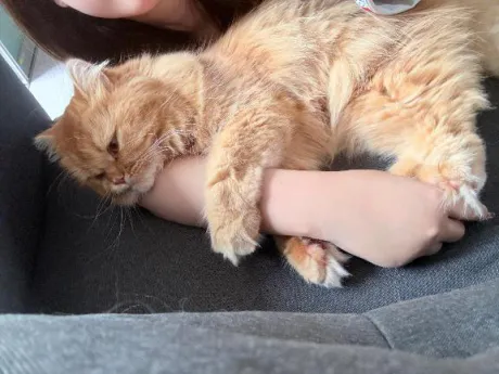 ありがとう😽💖