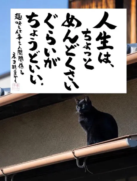 シオン人妻生レンタルーNTRー