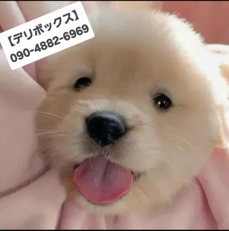 ★夜風が気持ち良いな😌★
