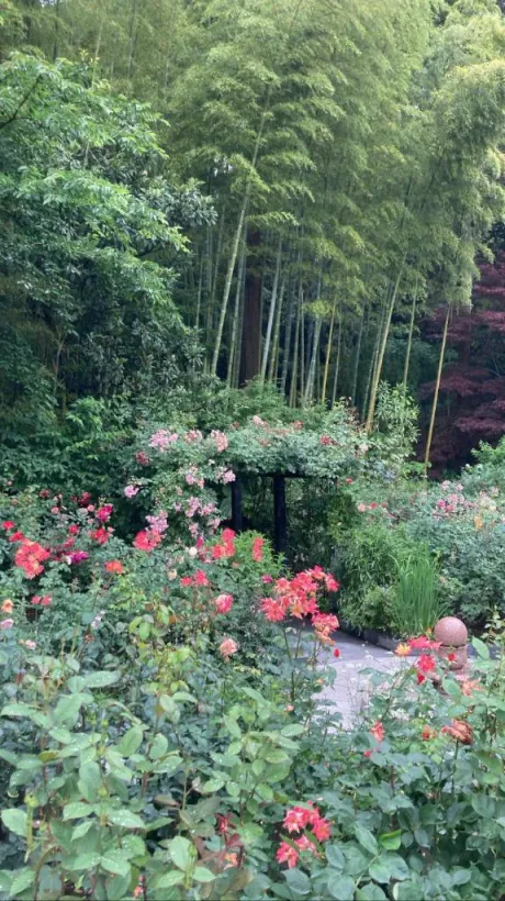 みるるのブログ お詫び