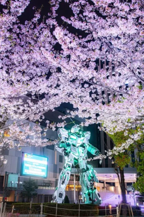 あむのブログ こんばんみ🌙*゜