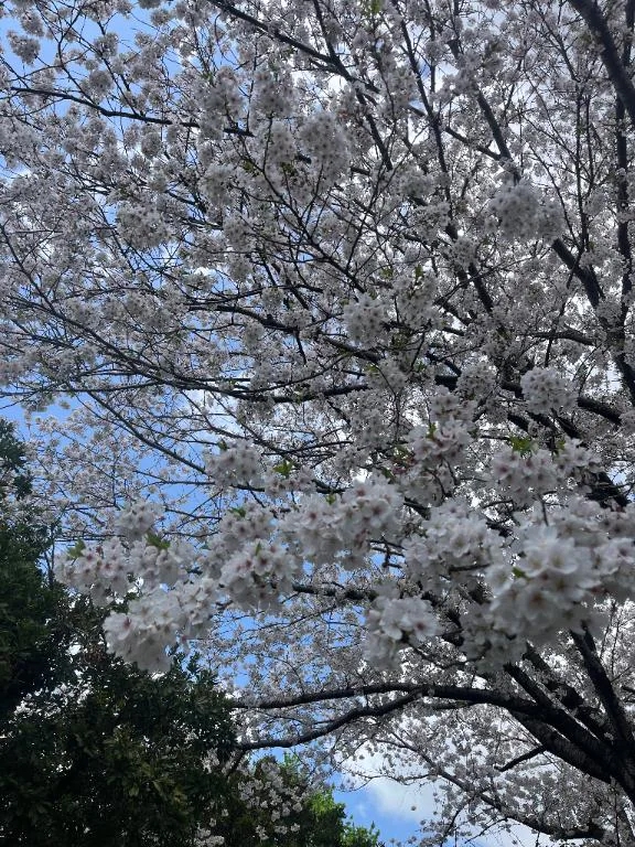 愛（あい）REGALO 久留米店