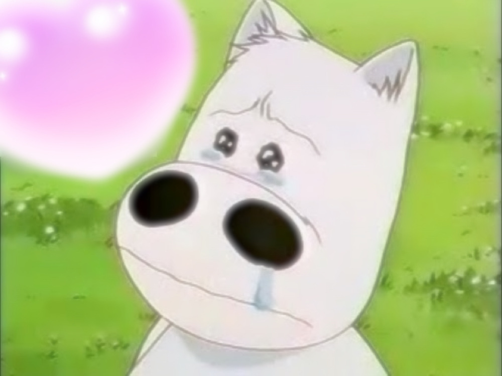 みなさんおはようございます☀️