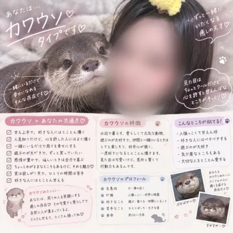 今流行りの( . ̫.)♥(.ˬ. )