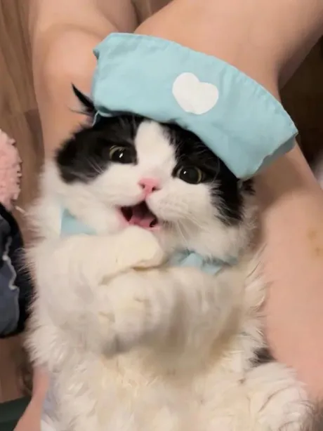 あのロイヤルクラブ