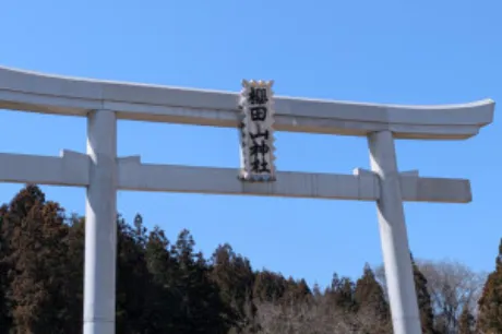 神社巡り/えみり 奥様