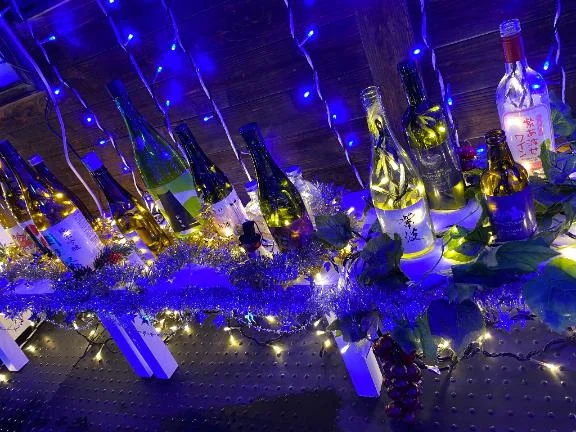 ・:*+.\(( °ω° ))/.:+