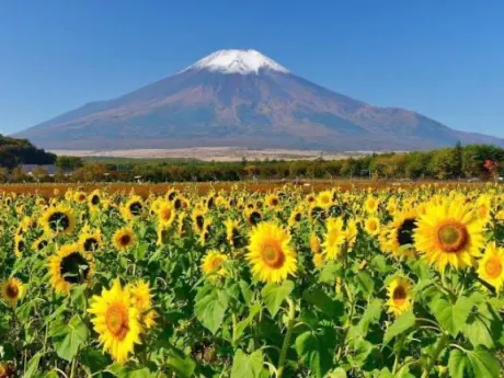 相川（あいかわ）のブログ 山の日