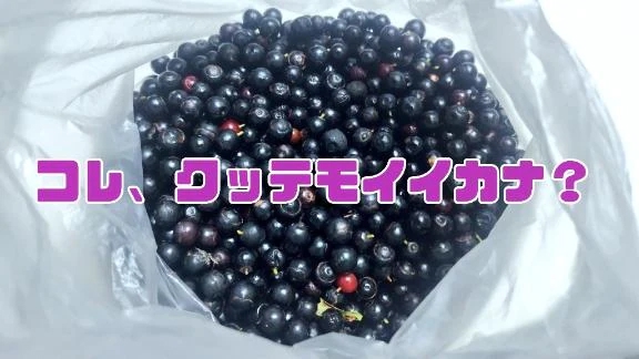 ｺﾚ､ｸｯﾃﾓｲｲｶﾅ？