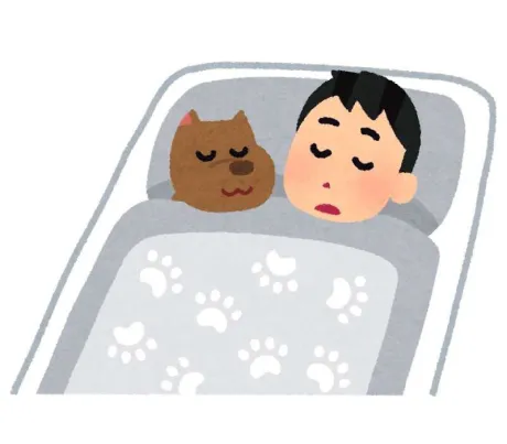 明日いるよ 💚/チホ