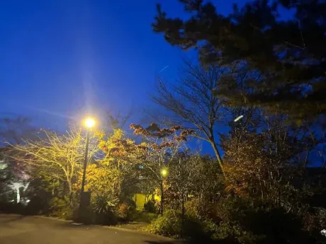 愛海-あいみ-人妻倶楽部　花椿盛岡店