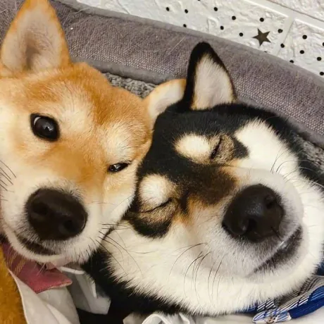 こんにちは～ 😄