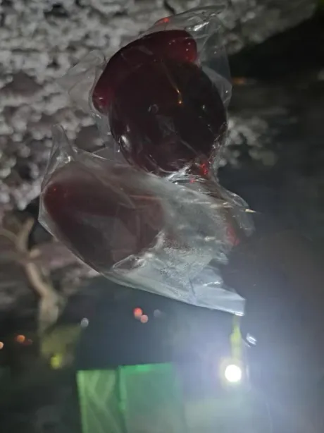 いつもと……🌳/上原なるみ