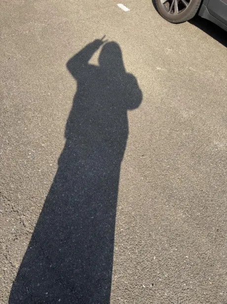 🌟
