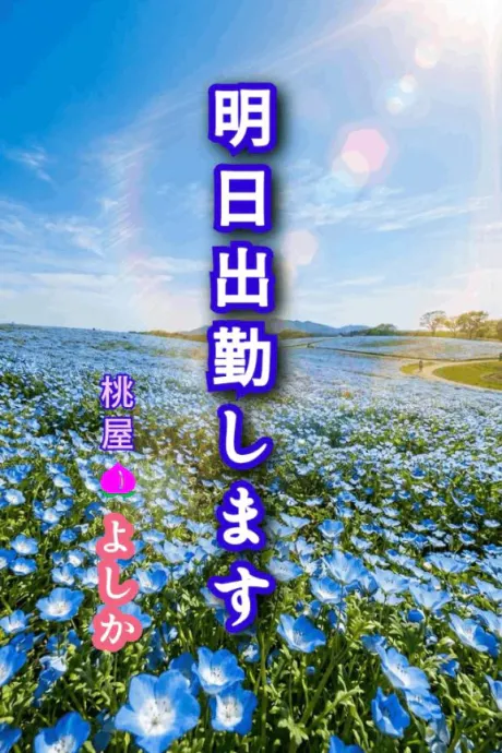 🌸お知らせ🌸/よしか(青森)