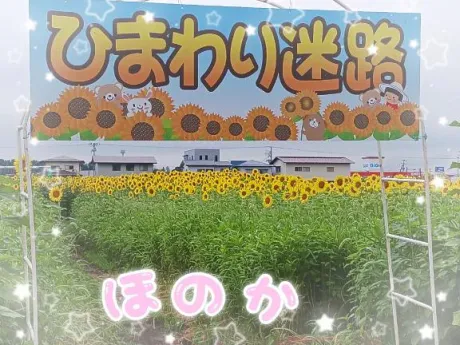 ほのか宮城♂風俗の神様　仙台店