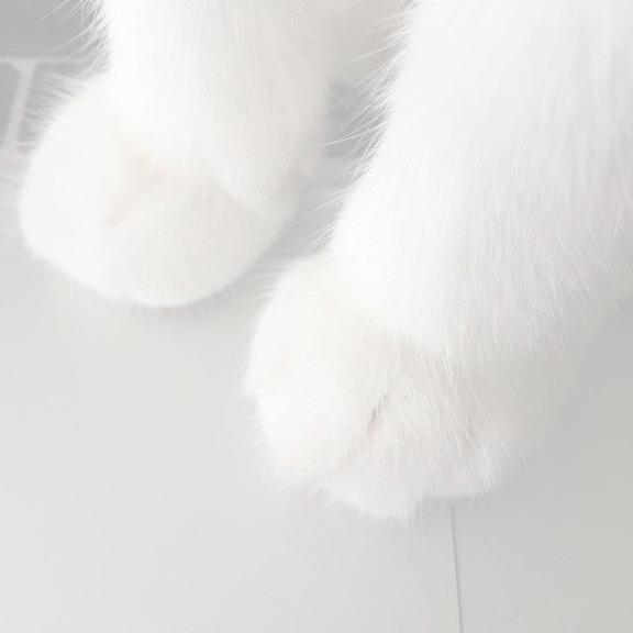 前向きな１日。