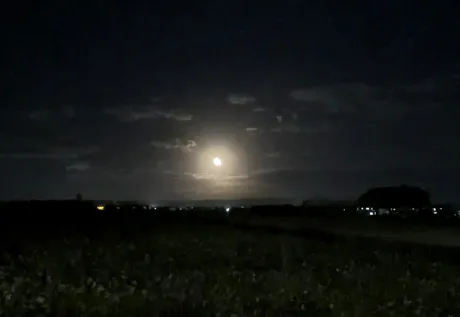 大きなお月様！！！?/ユズ